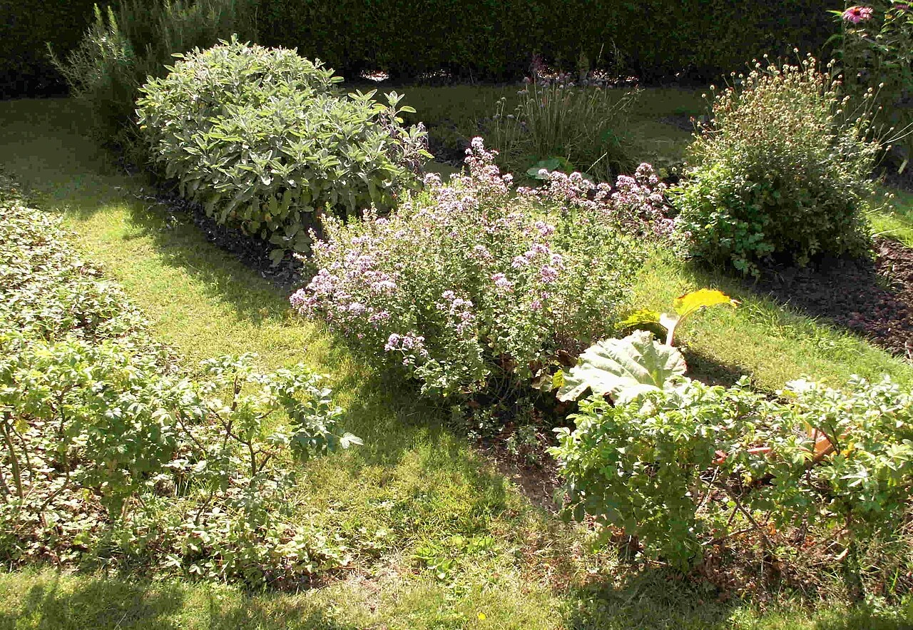 Retourner l’herbe pour potager : guide pas à pas en France