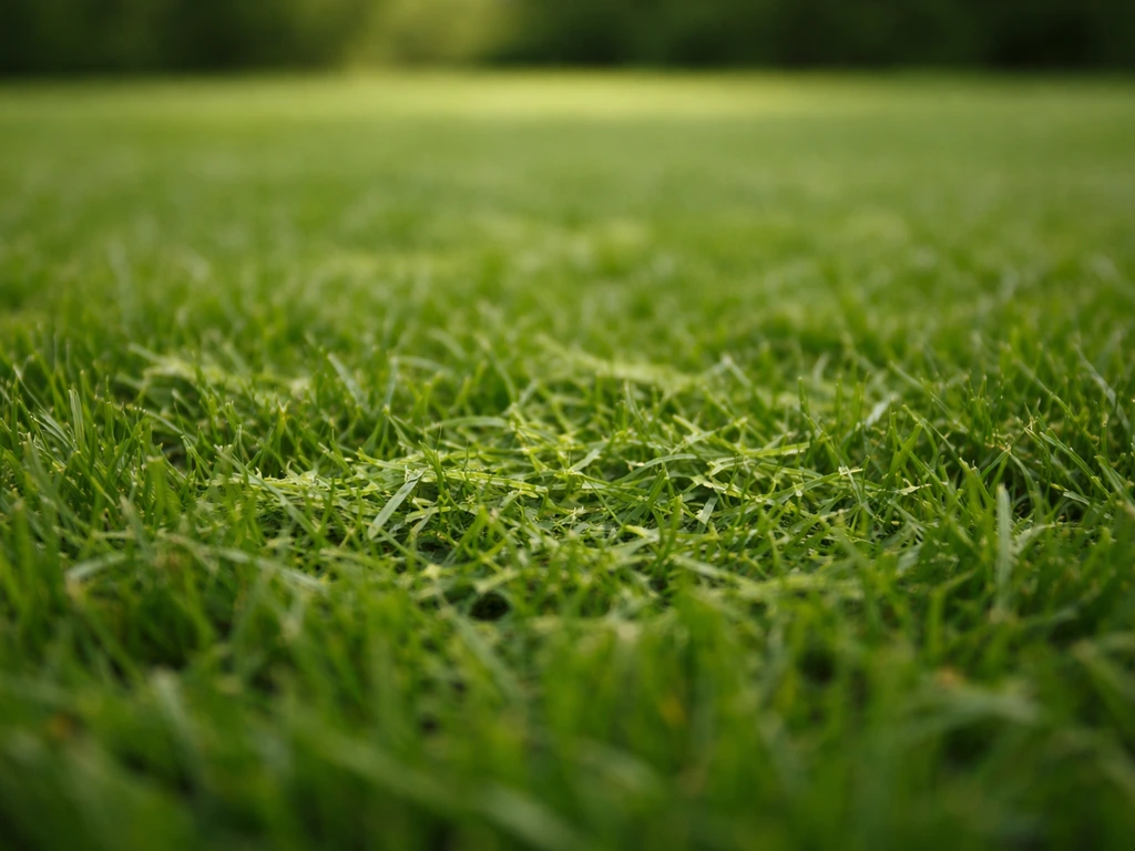Pelouse verte avec brins d’herbe laissés au sol, texture naturelle après tonte.